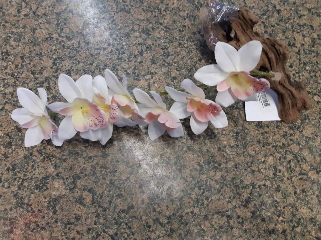Pet-Tekk Orchidée blanche magnétique - White Orchid 15''