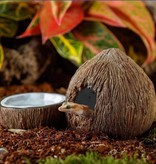 Exoterra Coconut-shaped hiding place and water bowl