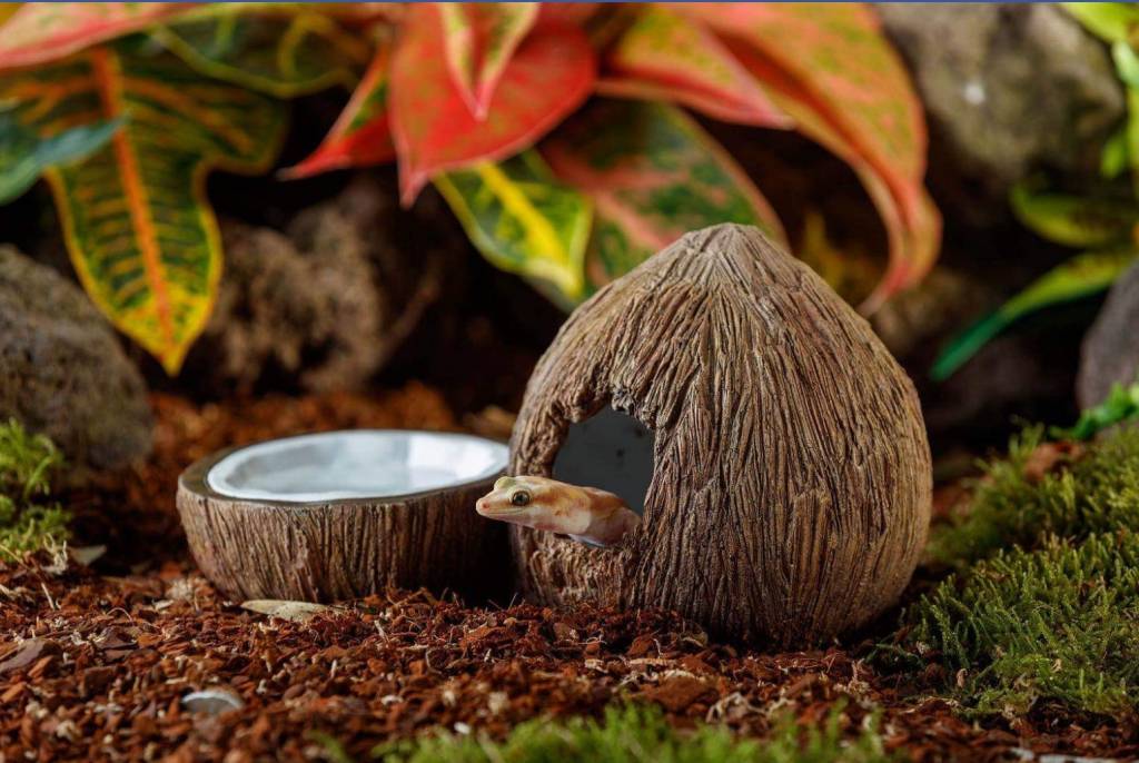 Exoterra Coconut-shaped hiding place and water bowl