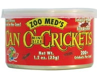 Canned insects - Bag