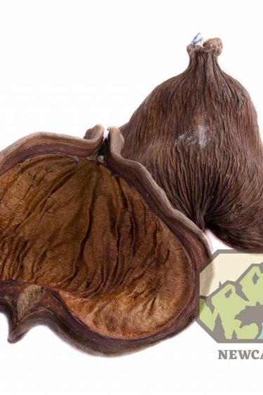 NewCal Pets NEWCAL NC-BN2 Cosses de la jungle pq de 2