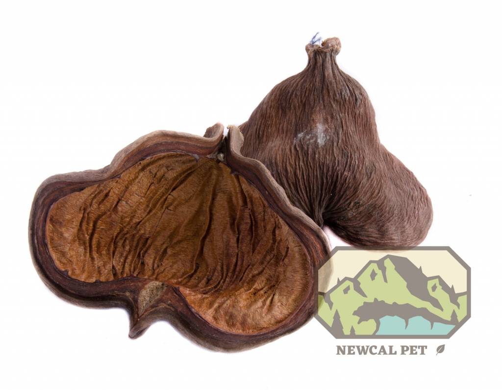 NewCal Pets NEWCAL NC-BN2 Cosses de la jungle pq de 2
