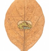 NewCal Pets NEWCAL NC-JFL10 Feuilles de jacquier pq de 10 -  6-8''