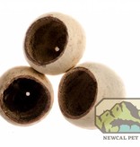NewCal Pets NEWCAL NC-BC3 Coupelle naturelle env 2 po, 3 par paquet