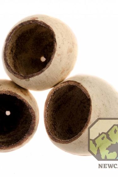 NewCal Pets NEWCAL NC-BC3 Coupelle naturelle env 2 po, 3 par paquet