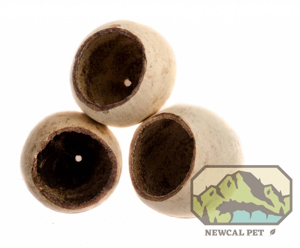 NewCal Pets NEWCAL NC-BC3 Coupelle naturelle env 2 po, 3 par paquet