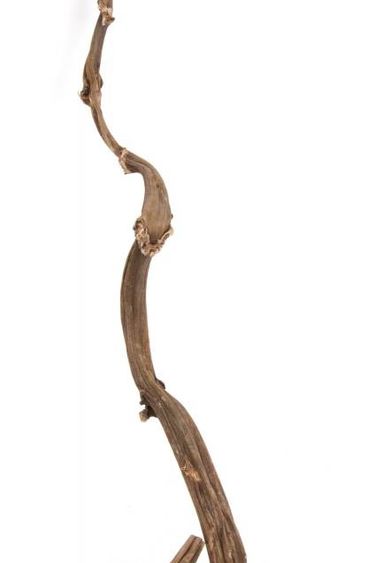 NewCal Pets Banana Stick 24''