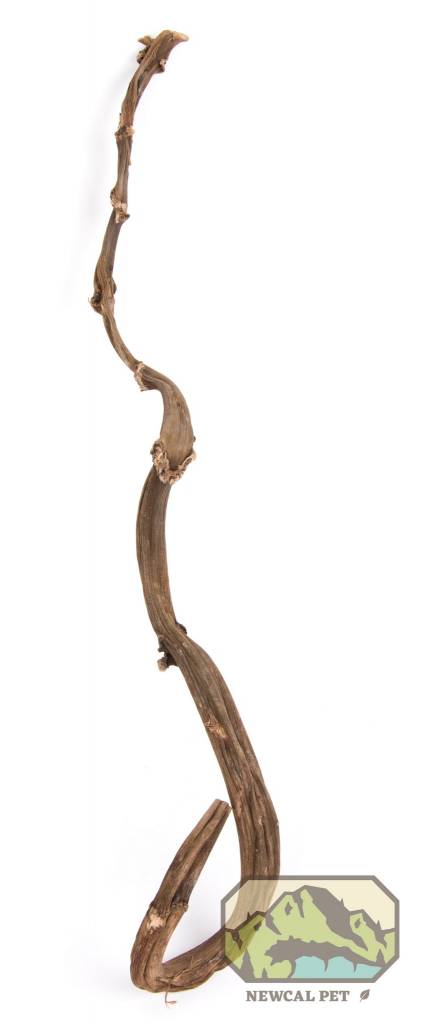 NewCal Pets NEWCAL NC-BS30 Bâton de bananier 24''