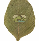 NewCal Pets Feuilles d'amarante pq de 20 - Amaranth Leaves
