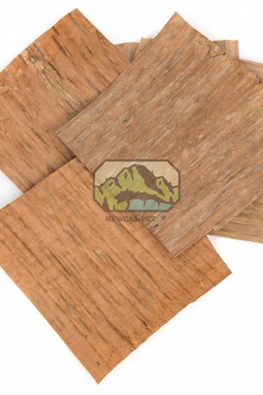 NewCal Pets Feuilles de bananiers pq de 10 - Banana Leaves