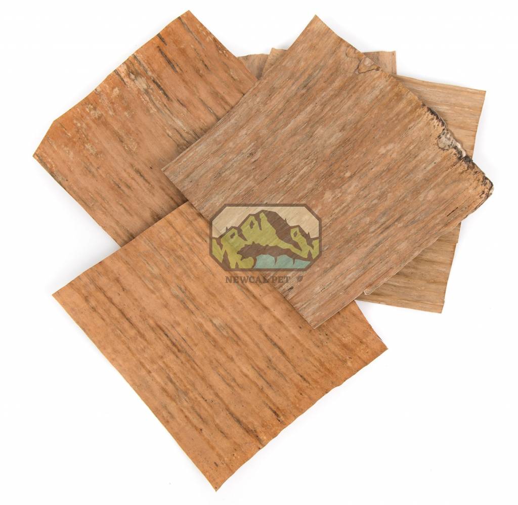 NewCal Pets NEWCAL NC-BL10 Feuilles de bananiers pq de 10