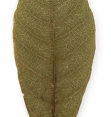 NewCal Pets Feuille de cacao pq.10/ Cocoa leaves pk10