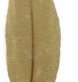 NewCal Pets Guava Leaves - 10 Pack