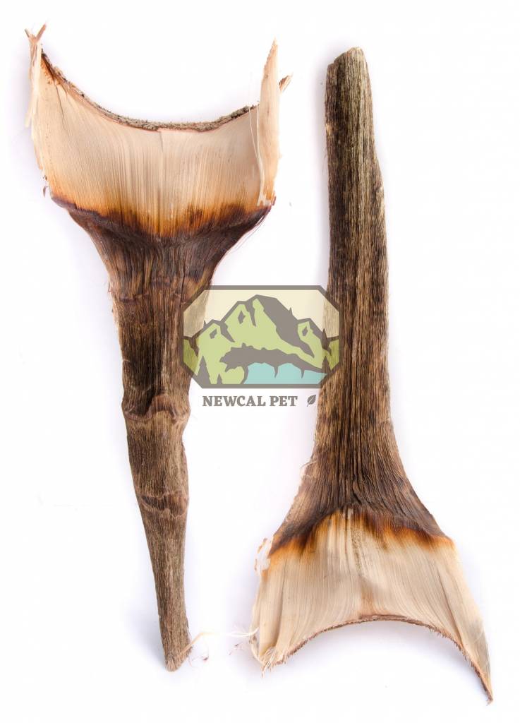 NewCal Pets Agave Leaf - 2 Pack