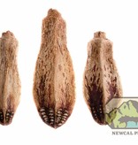 NewCal Pets NEWCAL NC-MP5P Cosses d'acajou pq de 5