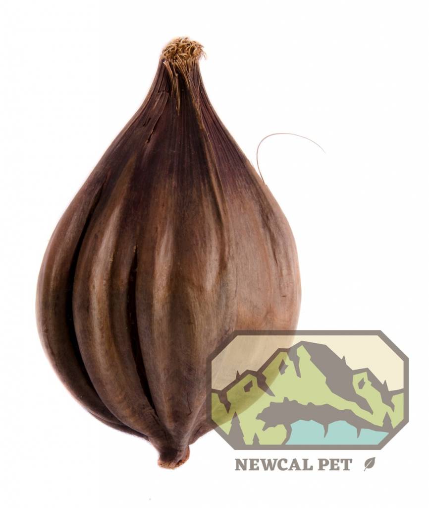 NewCal Pets NEWCAL NC-NP2P Cosses de nipa pq de 2