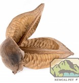 NewCal Pets NEWCAL NC-SF5 Cosse de sorocco