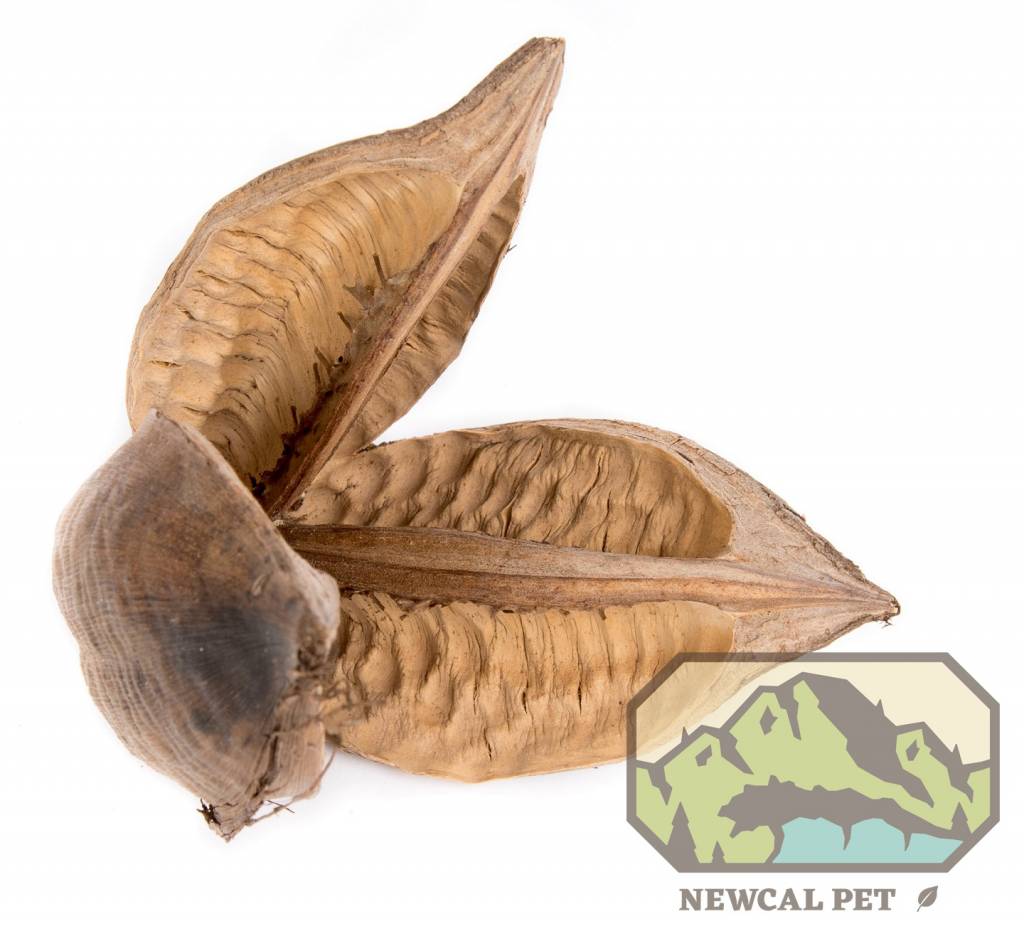 NewCal Pets Sororcoa Pod