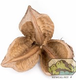 NewCal Pets NEWCAL NC-SF5 Cosse de sorocco