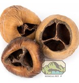 NewCal Pets NEWCAL NC-TN3P Talami naturel pq de 3