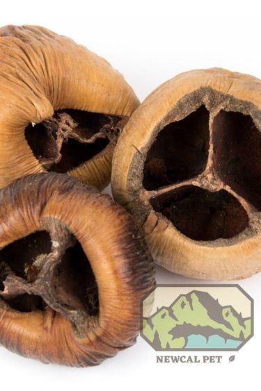 NewCal Pets NEWCAL NC-TN3P Talami naturel pq de 3