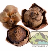 NewCal Pets NEWCAL NC-PT2P Tendre cosse de palme pq de 2