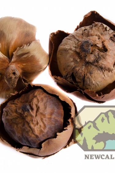 NewCal Pets NEWCAL NC-PT2P Tendre cosse de palme pq de 2