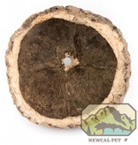 NewCal Pets Ourico Pod