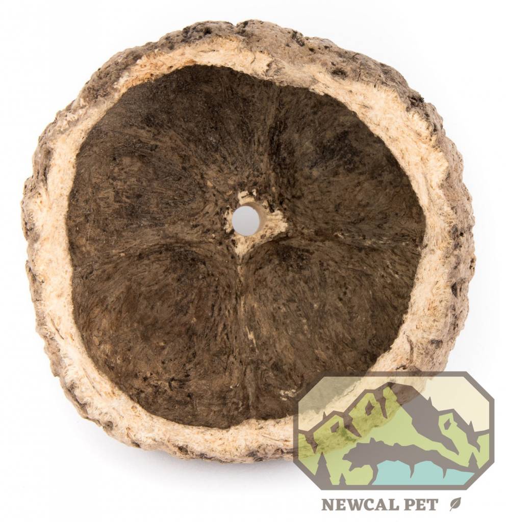 NewCal Pets NEWCAL NC-OP4 Cosse de noix d'ouriço