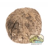 NewCal Pets Cosse de noix d'ouriço - Ourico Pod