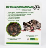 ProBugs Eco-Fresh Dubia Cockroach