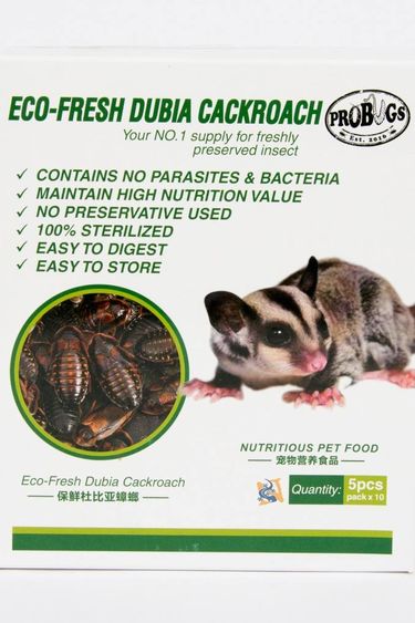 ProBugs Blattes dubia sous vide - EcoFresh Dubia Cockroach 5