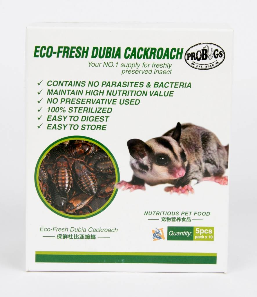 ProBugs Blattes dubia sous vide - EcoFresh Dubia Cockroach 5