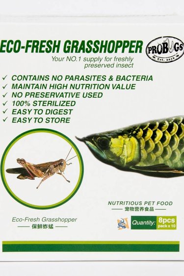 ProBugs Eco-Fresh Grasshopper