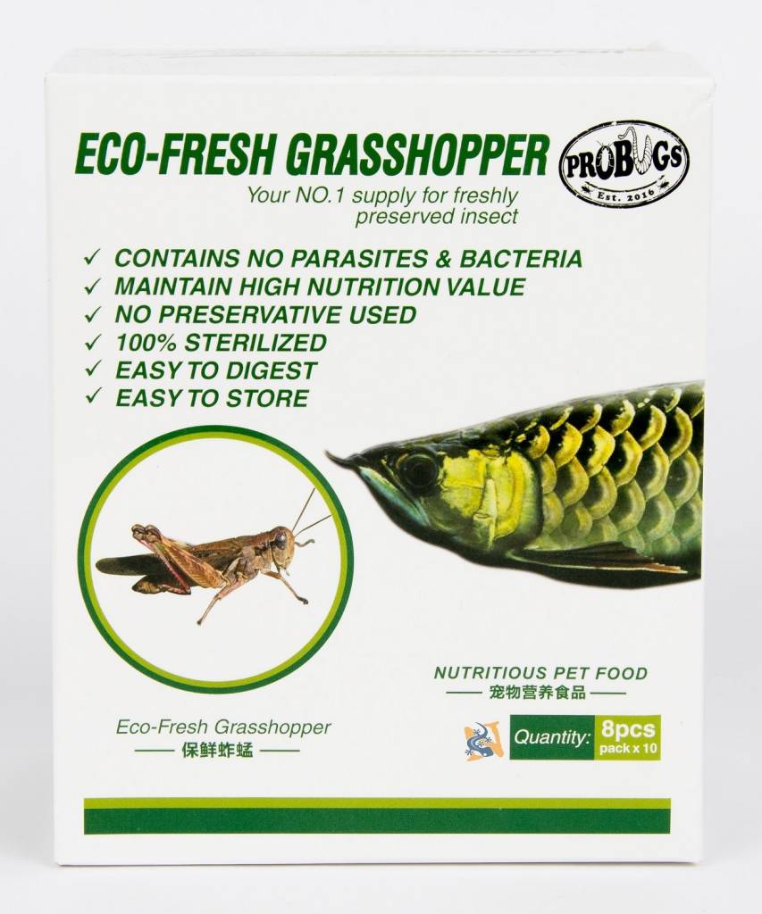 ProBugs Sauterelles Eco-Fresh Grasshopper