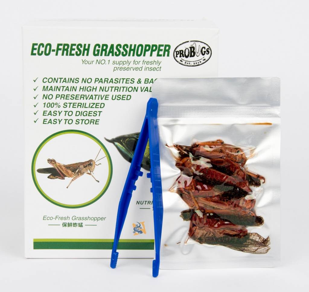 ProBugs  Eco-Fresh Grasshopper