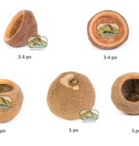 NewCal Pets Monkey Pod