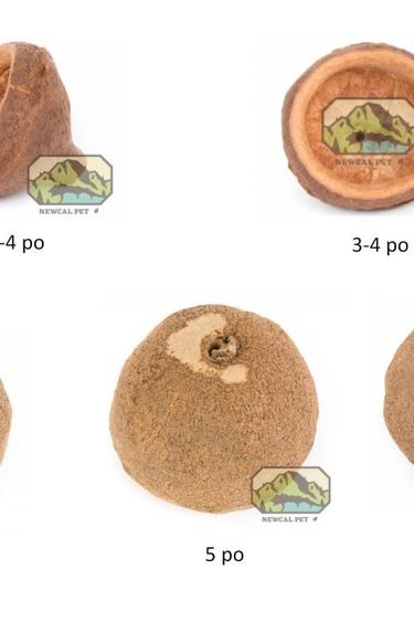 NewCal Pets NEWCAL Cosse de singe