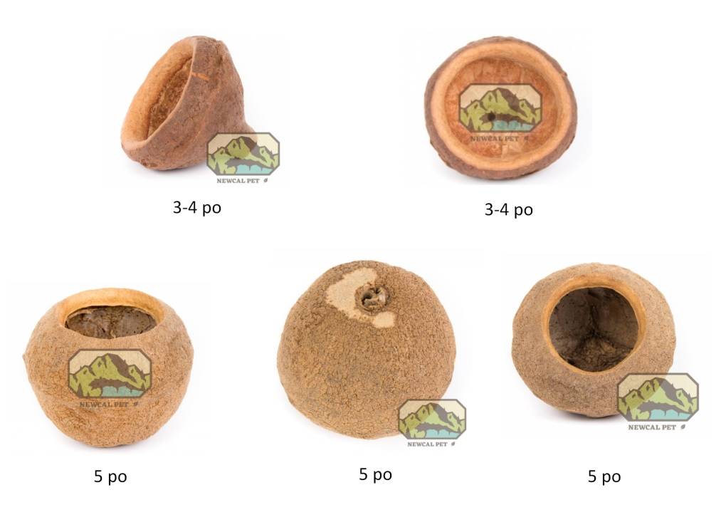 NewCal Pets NEWCAL Cosse de singe