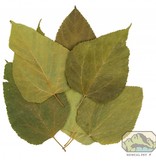 NewCal Pets Feuilles de mûrier pd de 10 - Mulberry Leaves