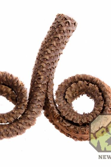 NewCal Pets NEWCAL NC-RH2P Têtes de bélier 4-7" pq de 2