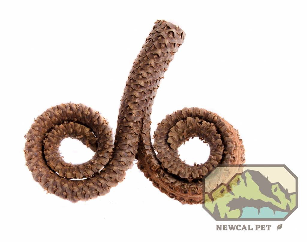 NewCal Pets NEWCAL NC-RH2P Têtes de bélier 4-7" pq de 2