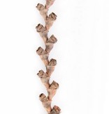 NewCal Pets Bâtons de buriti 16 po - Buriti stick