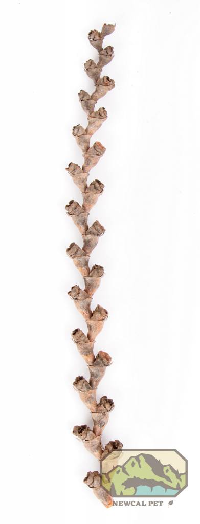 NewCal Pets NEWCAL Bâtons de buriti 16 po