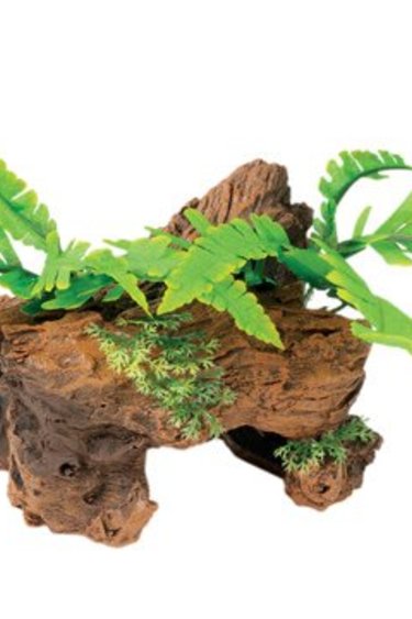 Marina MARINA 12256 Naturel Bois de grève de Malaisie avec plantes, petit