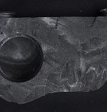 C3 Ledges Magnetic Gecko Ledge - Single Cup 0.5 oz