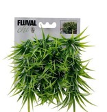 Fluval Ornement Chi Fluval, herbe