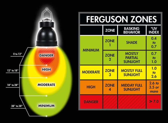 Zoomed Ensemble "Powersun hid" Combo