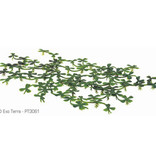 Exoterra EXO TERRA PT3061 Lentille d'eau flottante