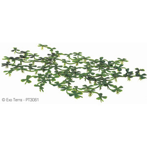 Exoterra EXO TERRA PT3061 Lentille d'eau flottante